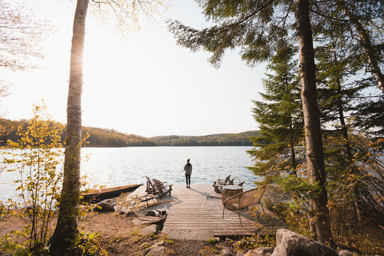 Enjoying the lake view in summer