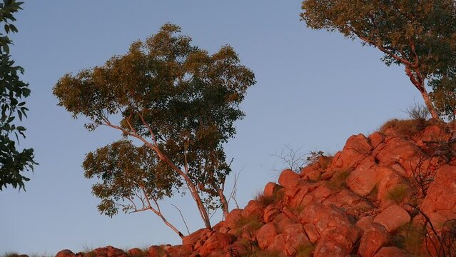 Australia Mining Outback heavy machinery