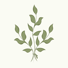 Vector illustration of hand-drawn twigs with leaves