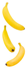 Bananas yellow, falling, hanging, flying, soaring, isolated on transparent background .