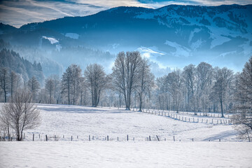 alpine landscape in Winter with trees and mountains in the region of Saalfelden in the county of...
