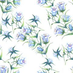 Watercolor field bell flowers on a white background.  Floral seamless pattern from bouquet bell flowers.