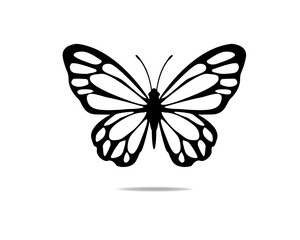 butterfly vector
