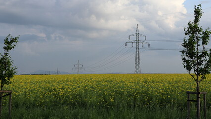 High voltage pylons. Field with flowering oilseed rape. High voltage power lines. Electrical distribution network. Infrastructure.