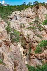Rocks in a mountain gorge overgrown with coniferous forest on a clear day
