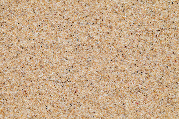 Background yellow beach sand from crushed seashells close-up
