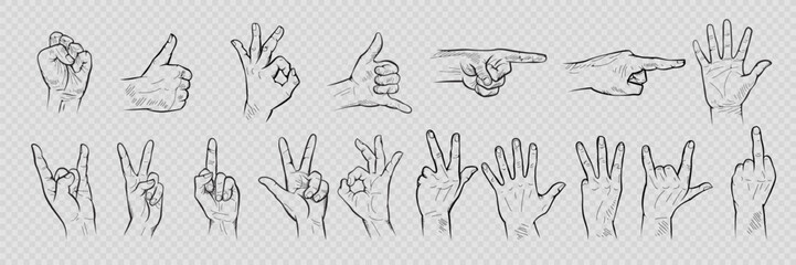 Vector hand gesture set. Pencil drawn signs sketch illustration isolated on background. - obrazy, fototapety, plakaty