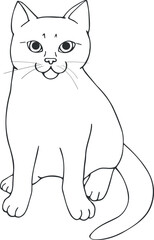 Cute sitting cat portrait on white background. Sitting animal contour. Hand drawn cat. Sketch. Vector art