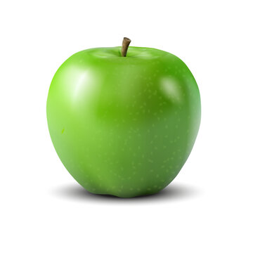 Realistic 3d vector of fresh green apple. Vector illustration on isolated background.