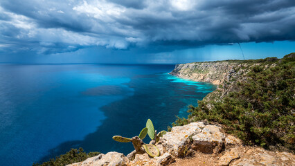 Fototapeta premium Formentera 