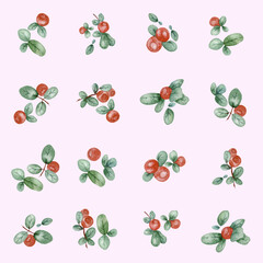 watercolor seamless pattern with red berries and lingonberries