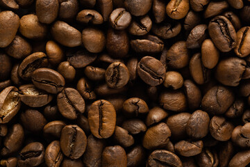 coffee beans on a white background laid out in the shape of a frame
