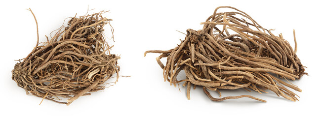 Dried Valerian root isolated on white background. Valeriana officinalis with full depth of field....