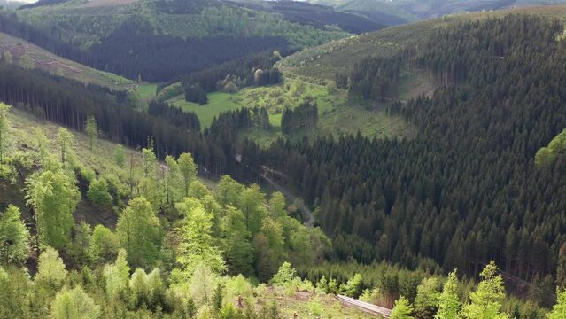 mixed lush forest of the suerland germany from above 4k 30fps video