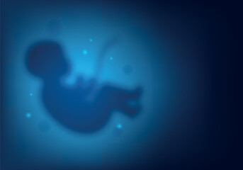 Blurred blue human embryo in the womb, pregnancy, obstetrics. Child in the womb. Concept for obstetric center or gynecologist, symbol of pregnancy and motherhood - obrazy, fototapety, plakaty