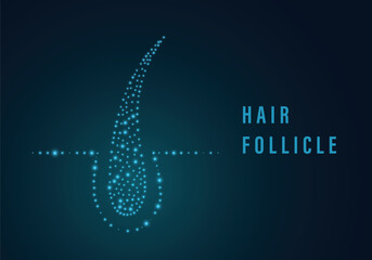 Hair follicle. Male-pattern baldness, alopecia, thinning hair, alarming levels of hair fall. Concept. Split tips, dry or sun protection concept. Hair care medical treatment