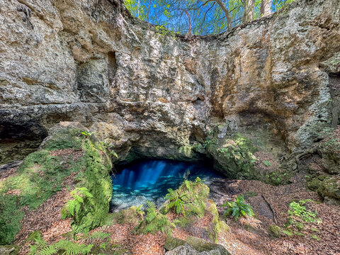 Jewel's Sink, Alachua County, Florida