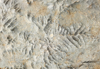 Textures on a marble stone on Taurus Mountains