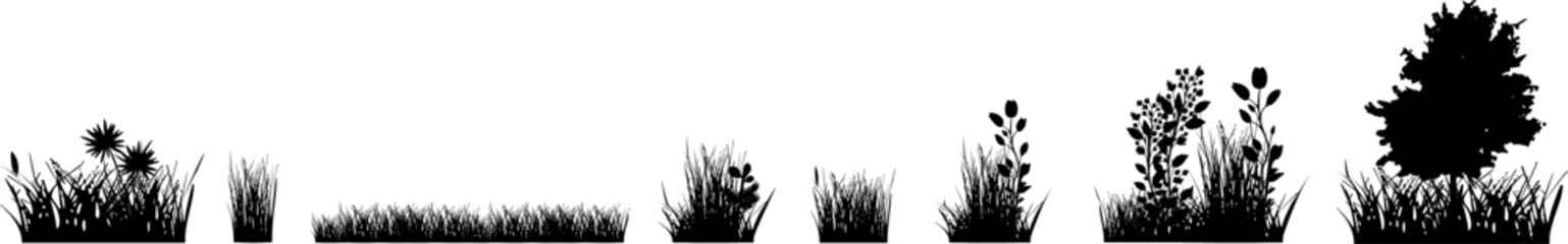 Natur Vektor Set - Gräser mit Blumen, Pflanzen und Blättern © fotografiedk