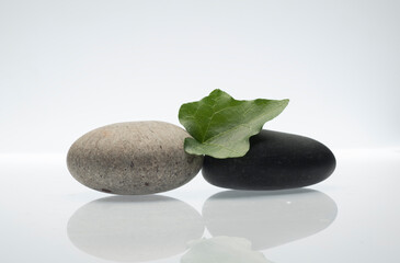 Fototapeta na wymiar gray and black stones and green leaves on a white background for the product presentation podium.composition of zen stones and green leaves for the background of the podium