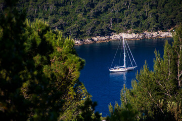 sailboats in the bay
