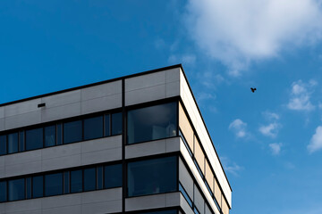 Obraz premium modern office building with sky