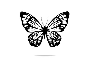 butterfly hand drawn design vector