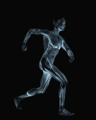 average man muscle maps is doing a angry walk