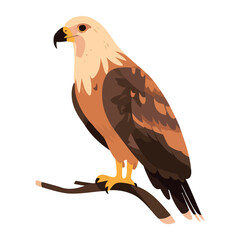 Bald eagle perching on tree branch