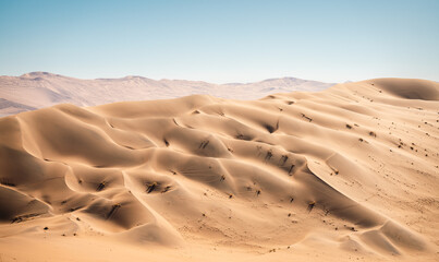 Endlose Weiten: Panoramaaufnahme einer majestätischen afrikanischen Wüstenlandschaft mit sanften Sanddünen - Die Schönheit der Einsamkeit und die unendlichen Möglichkeiten