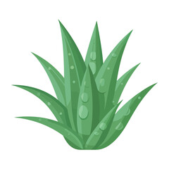 Fresh green leaves of summer meadow