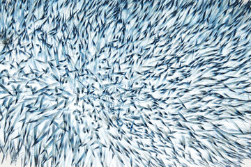 Texture. Animal fur. The coat is long and short. Colored and monochrome wool. Fox wool. Hedgehog fur.