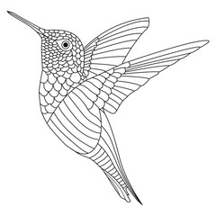 Hummingbird mandala. Black and white line art coloring book page with flying cute hummingbird. Hummingbird vector illustrations for kids.
