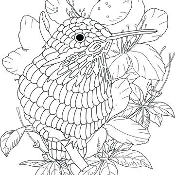 3,548,208 Adult Coloring Images, Stock Photos, 3D objects