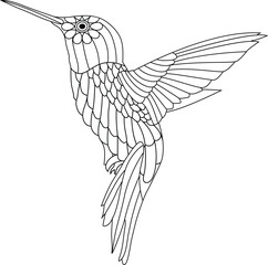 Antistress Line art design hummingbird coloring book page illustration for kids
