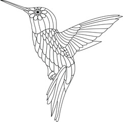 Antistress Line art design hummingbird coloring book page illustration for kids  © apuchandra
