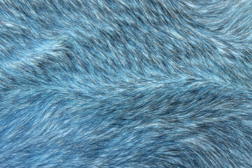 Texture. Animal fur. The coat is long and short. Colored and monochrome wool. Fox wool. Hedgehog fur.
