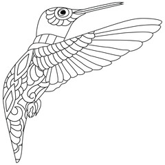 Coloring picture of cute hummingbird hand-drawn line art illustration. Line art design for adults and kids.