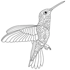 Beautiful hummingbird line art illustration for coloring book pages for adults.
