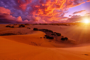 in Maspalomas Dunes of Gran Canaria, as the evening progresses, the dunes become a focal point for photographers, nature enthusiasts, and visitors seeking to witness the natural beauty of the area.