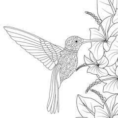 Flower and hummingbird stock vector illustration coloring page isolated on white.
