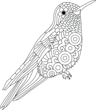 Beautiful tropical bird anti-stress picture line art design for adults or kids in zentangle style.