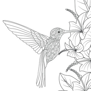 Flower and hummingbird stock vector illustration coloring page isolated on white.
