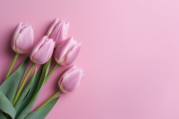 Bouquet of tulips on pink background with copy space for text. Top view, mockup, flat lay composition, blog, website, social, Generative AI