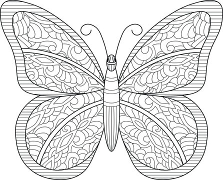 Beautiful butterfly zentangle black and white fictional mandala style coloring book page
