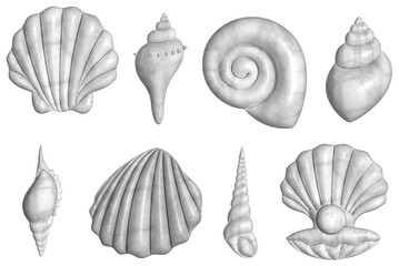Set of different 3d sea shells. Shells, mollusks, clam with pearl, snail. Summer concept. Round composition, starfish, nature aquatic.