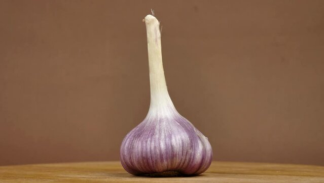 rotating young garlic on brown background.fresh and juicy root crop of a new crop with a mild taste. Young garlic is sharp and tender