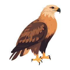 Flying hawk with sharp talons, a symbol of freedom