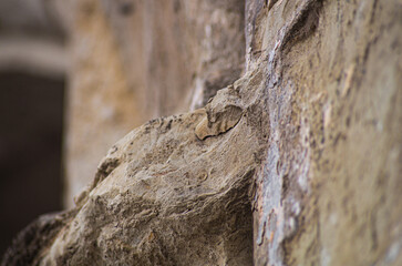 Surface of a partially broken decoration element of the stone wall of the ancient eastern castle