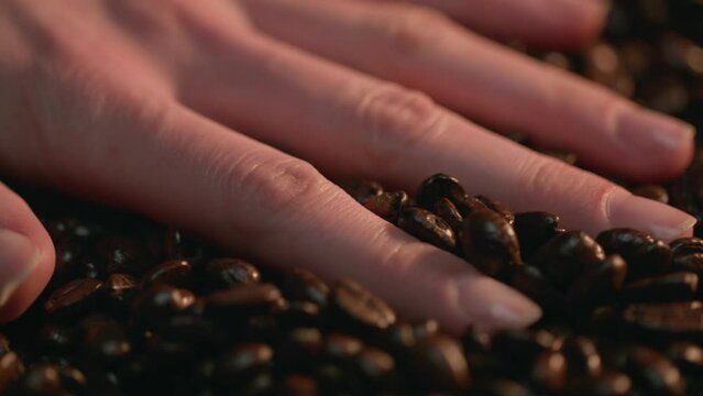 Caucasian Hand Running Over Coffee Beans, Slow Motion. Shot with ARRI Alexa in ArriRaw at 120 fps and exported 23.98 fps, QuickTime Apple ProRes 422 HQ.